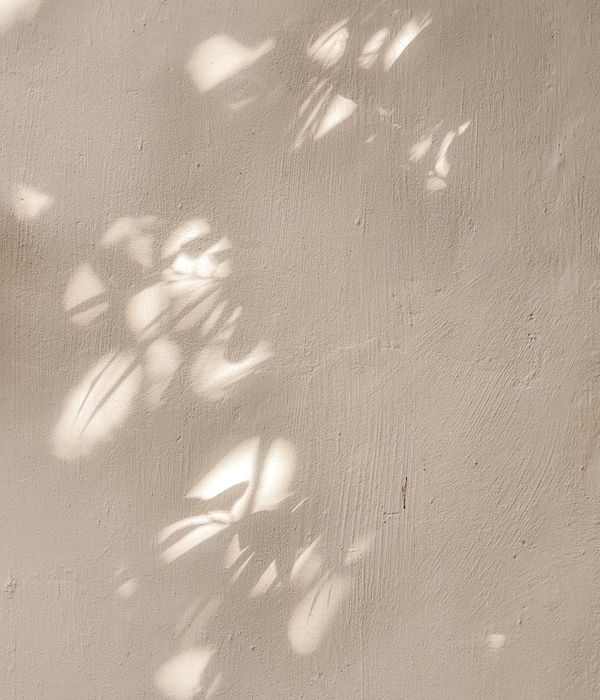 A serene workout space with minimalist decor and soft ambient light.